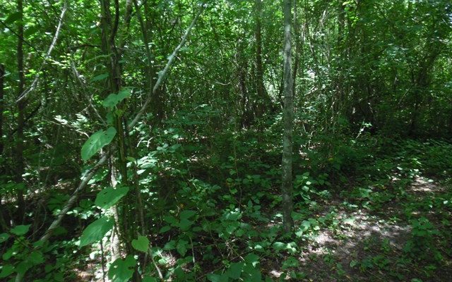  Le Togo dispose désormais de son plan de lutte contre la dégradation des terres