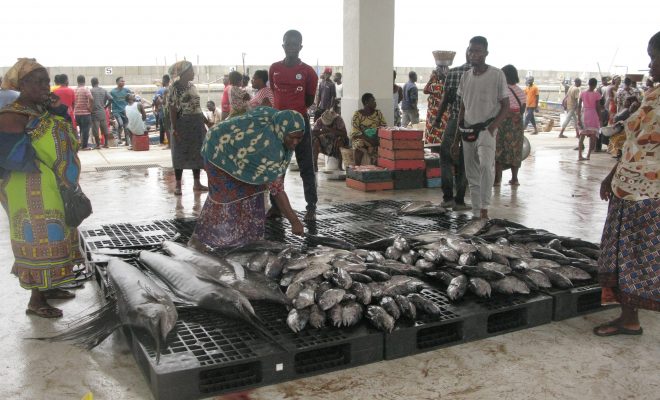  Début des activités au nouveau port de pêche à Lomé