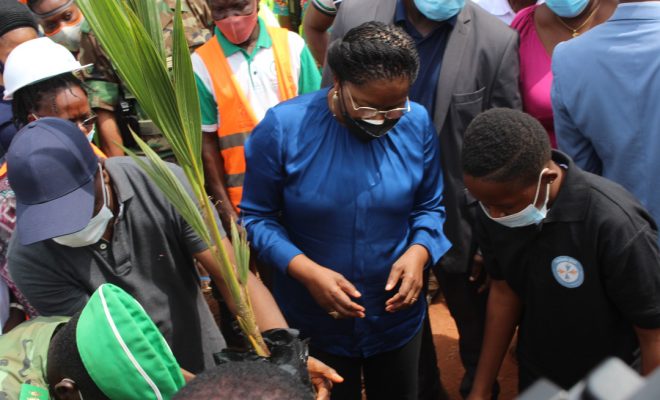  Le Premier ministre, Mme Victoire Tomégah-Dogbé a planté des arbres à Tsévié