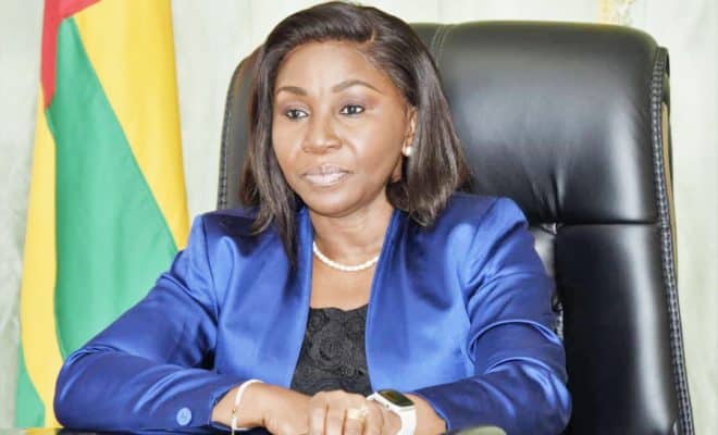  Feuille de route Togo 2025 : Des opérateurs économiques américains et togolais informés sur les opportunités d’investissement