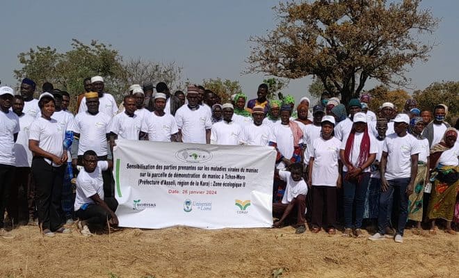  Les acteurs de la chaine de valeur manioc sensibilisés sur les maladies virales de ce tubercule à Tchon-Woro
