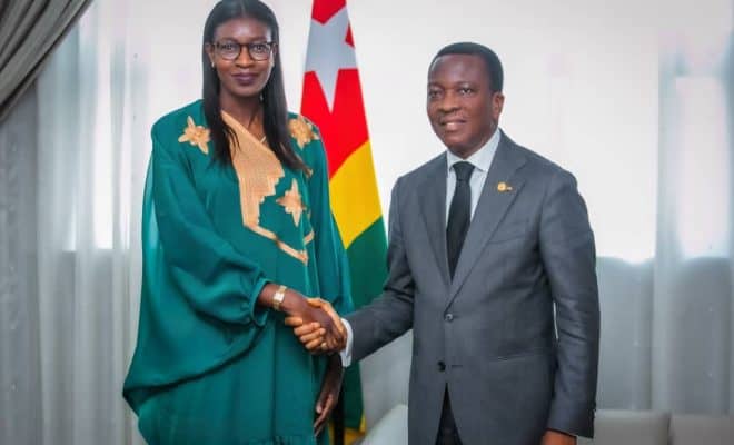  La coordonnatrice du Système des Nations Unies reçue par le président de l’Assemblée nationale